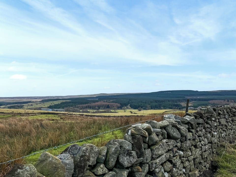View | 4 Swallowholm Cottage, Arkengarthdale, near Reeth