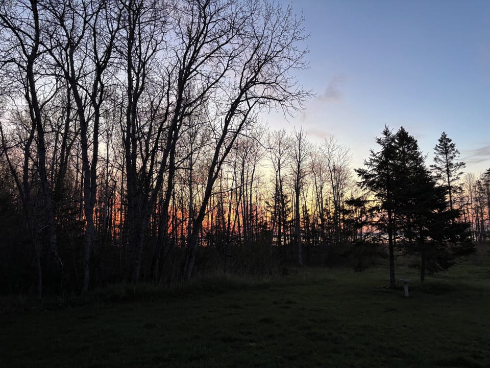 Morning view from Spruce room at ground level, facing east and the bay. 