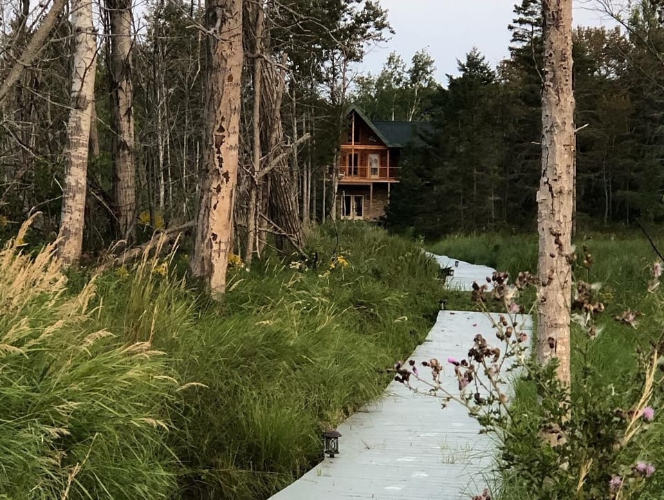 View of the cabin from the shore, facing west. 