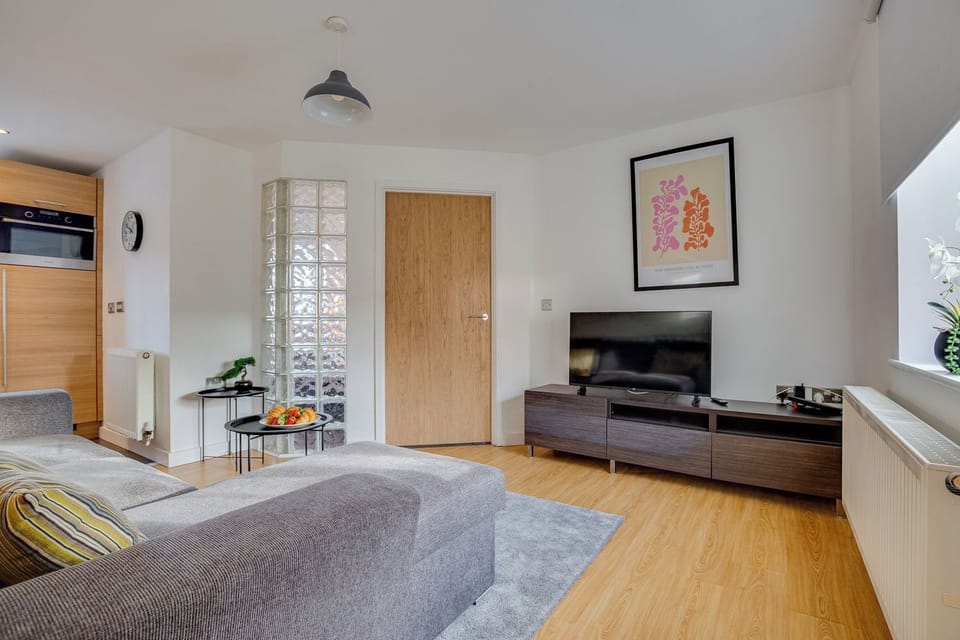 Classic Apartment, 1 King Bed with Sofa bed, Non Smoking | Living area