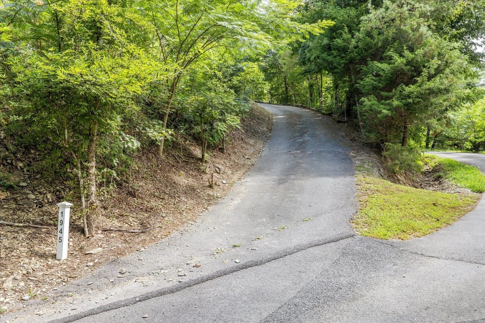 The driveway leading up to the cabin
