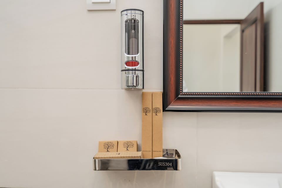 Premium Double Room | Bathroom | Free toiletries, hair dryer, towels, soap