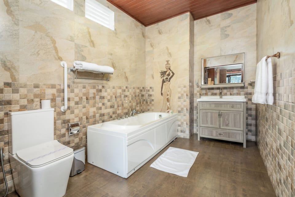 Premium Double Room | Bathroom | Free toiletries, hair dryer, towels, soap