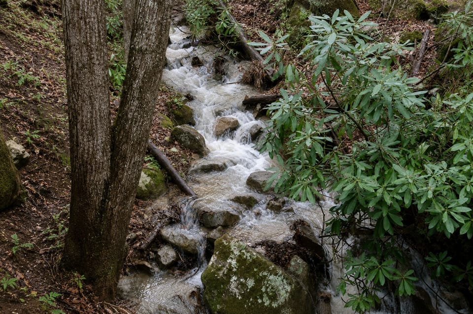 Enjoy the sound of the relaxing creek