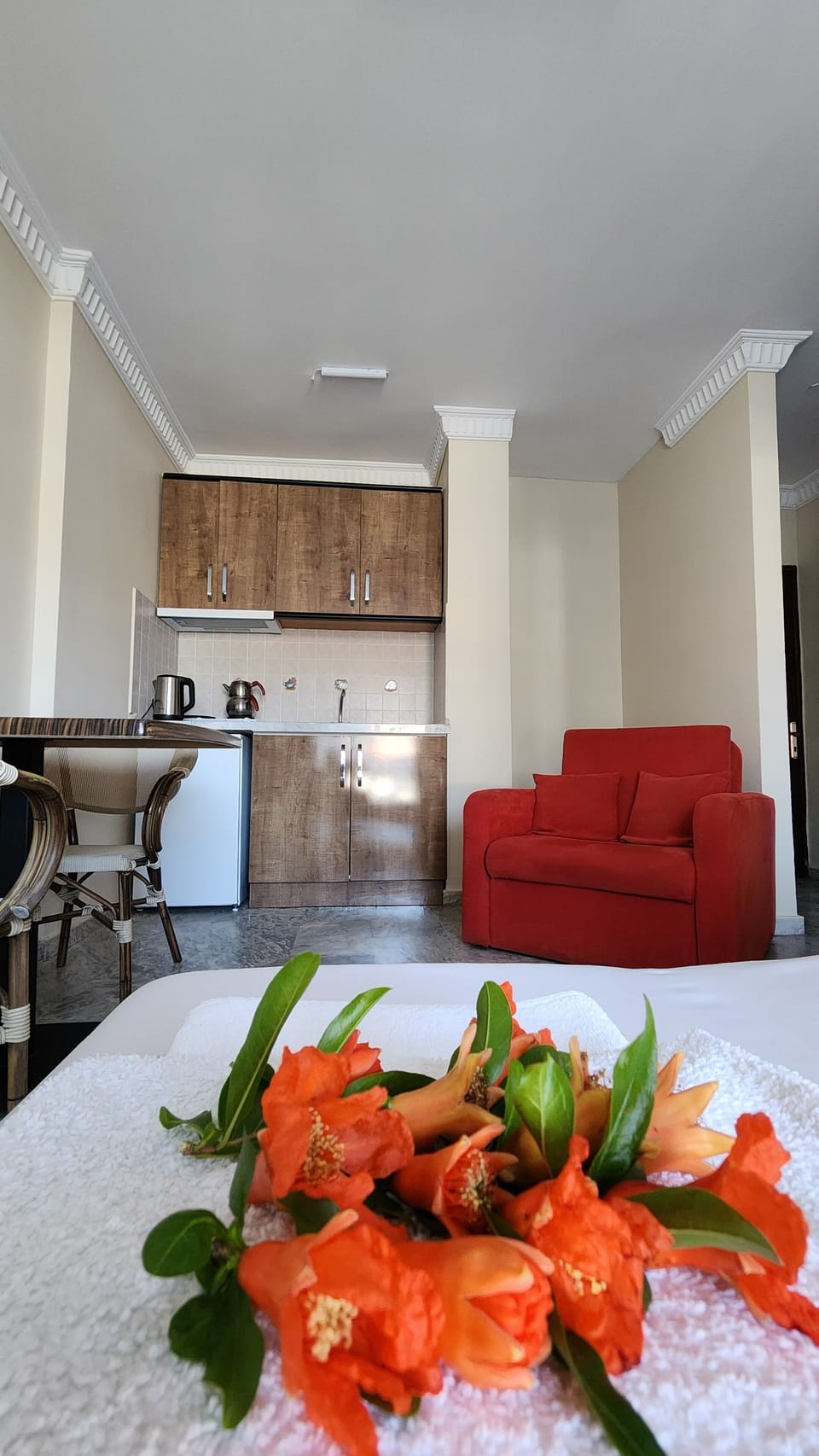 Apartment | Living area | TV