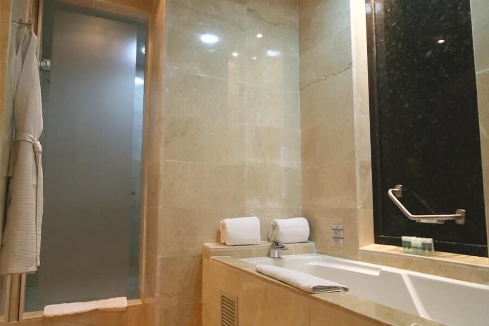 Executive Suite | Bathroom | Hair dryer, towels, soap, shampoo