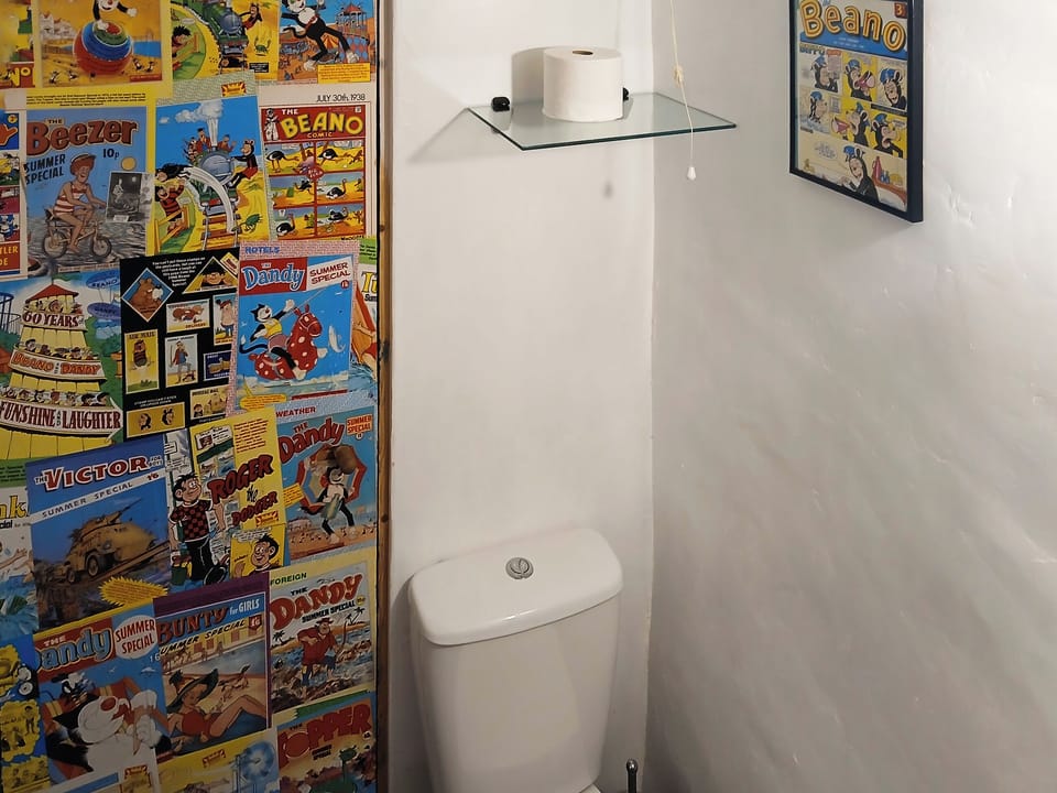 Toilet with door shut | Y Smithy - Tanyrallt Holidays Lets, Llanybydder