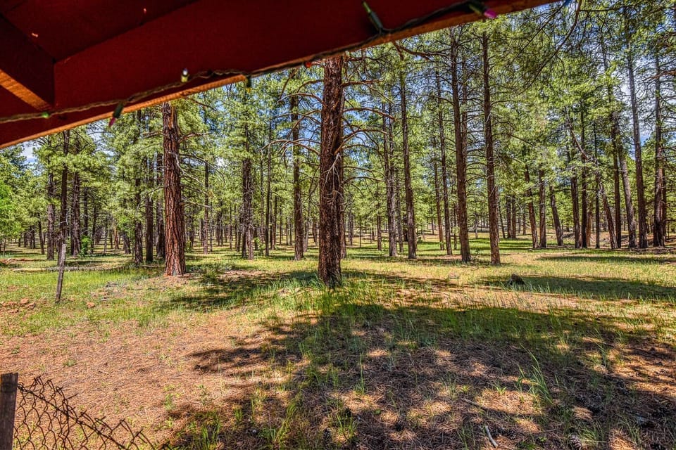 If you like quiet, nature, maybe evening elk grazing through, you will LOVE this place.