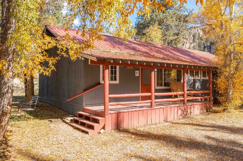 Arrive to a peaceful cabin framed by golden leaves.