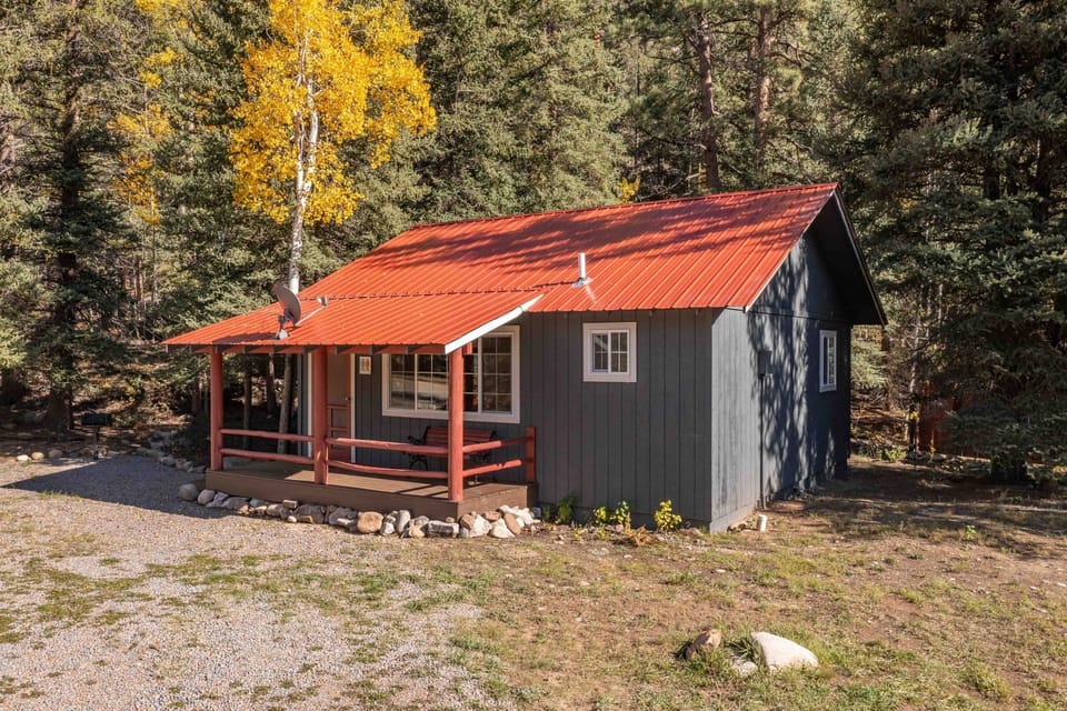 Step into your private woodland cabin retreat under pines.