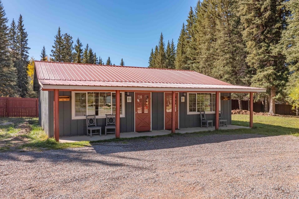 Arrive to a charming cabin surrounded by towering pines.