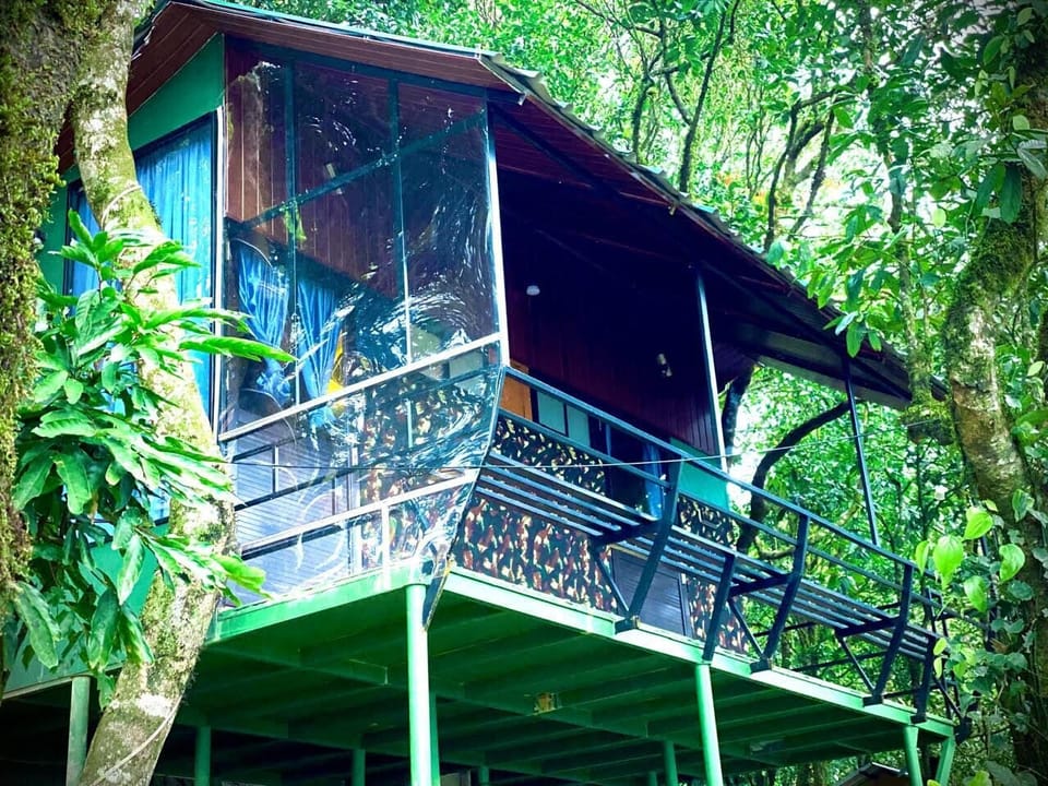 Classic Cabin | Free WiFi
