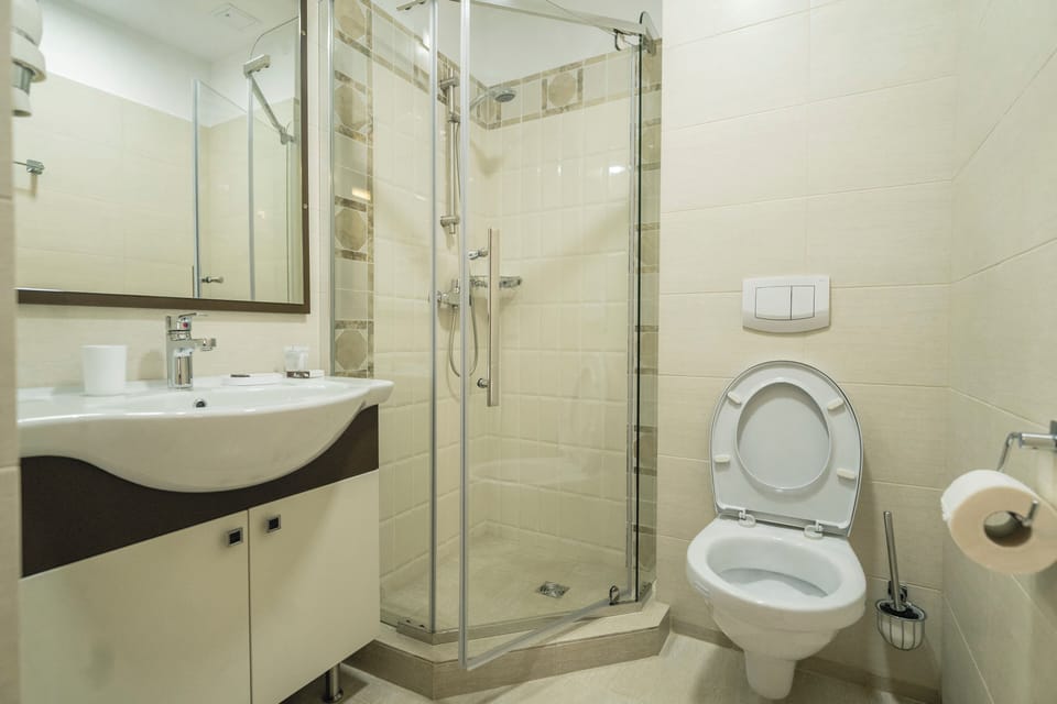 Comfort Double or Twin Room | Bathroom | Shower, hair dryer, soap, shampoo