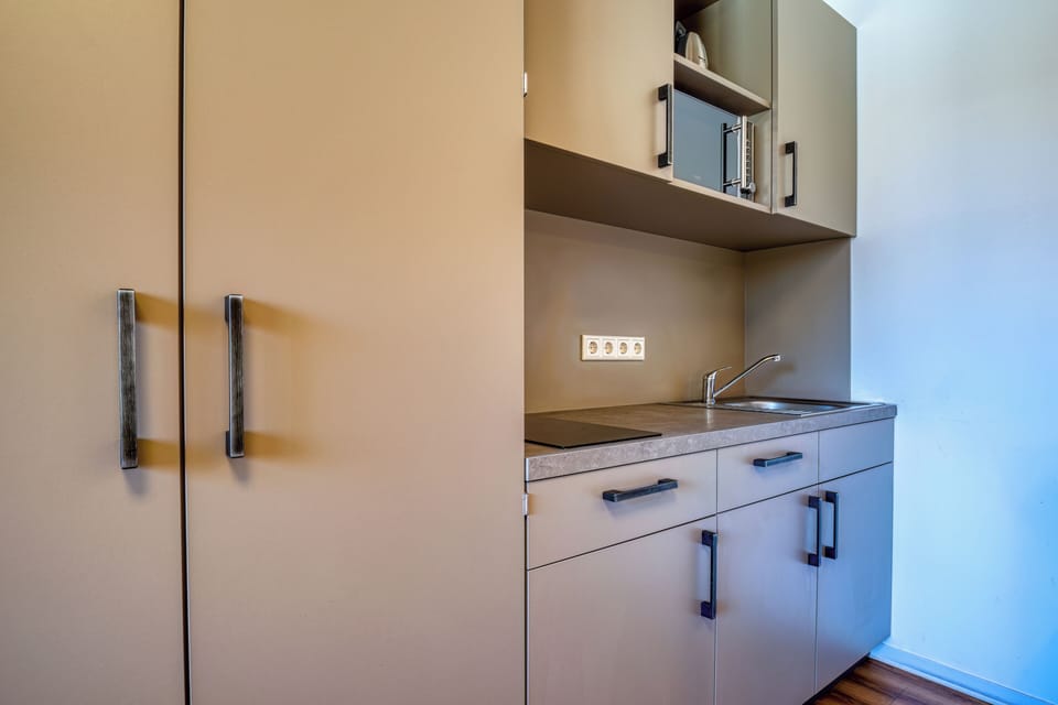 Double Room | Private kitchen | Mini-fridge