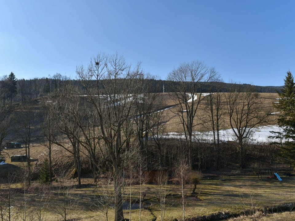 Tree, Branch, Hill, Twig, Trunk, Fell, Winter, Slope, Woodland, Shrubland