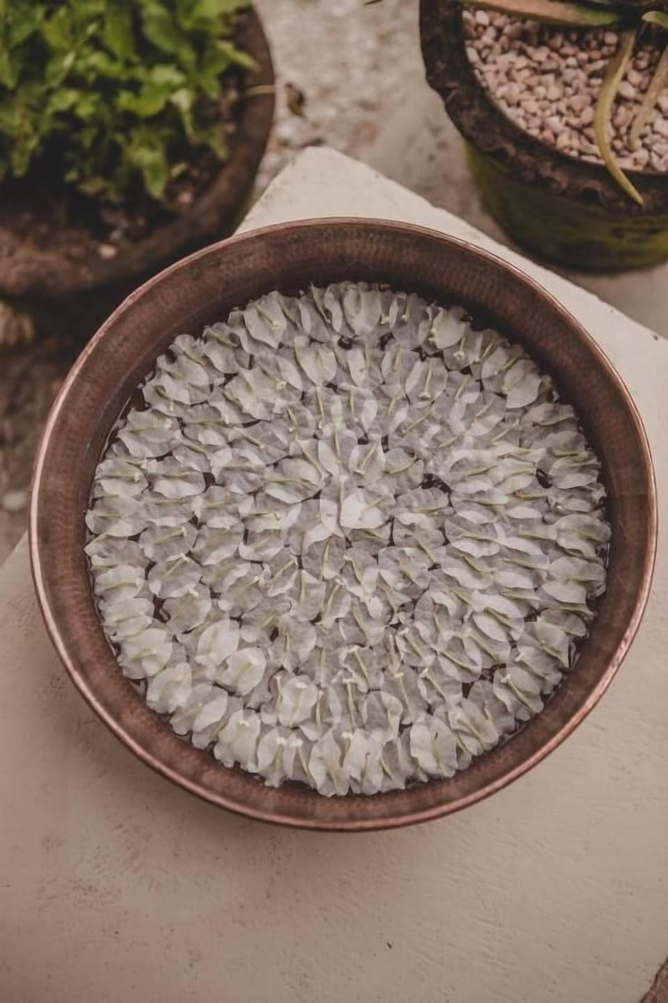 Sauna, body treatments, hot stone massages, deep-tissue massages