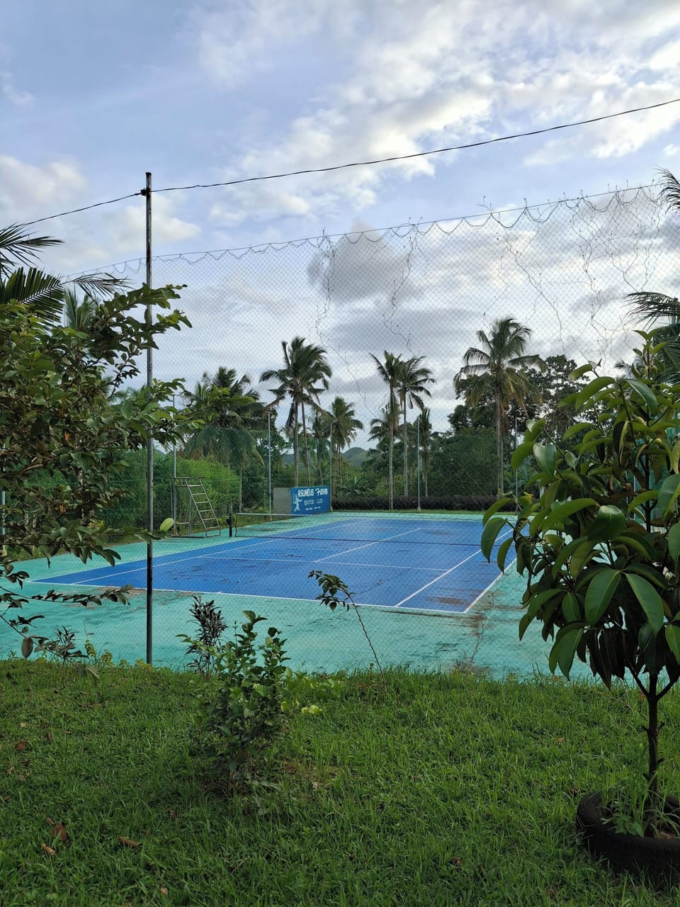 Tennis court