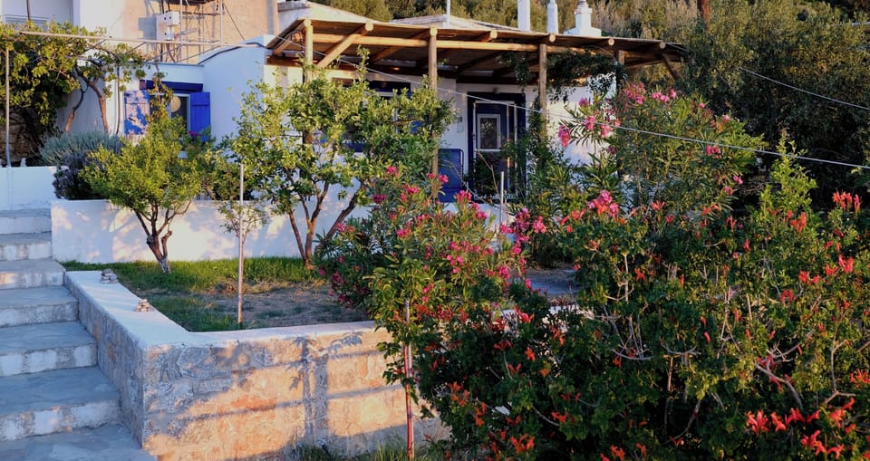 Looking up at the cottage from the lower garden terrace.