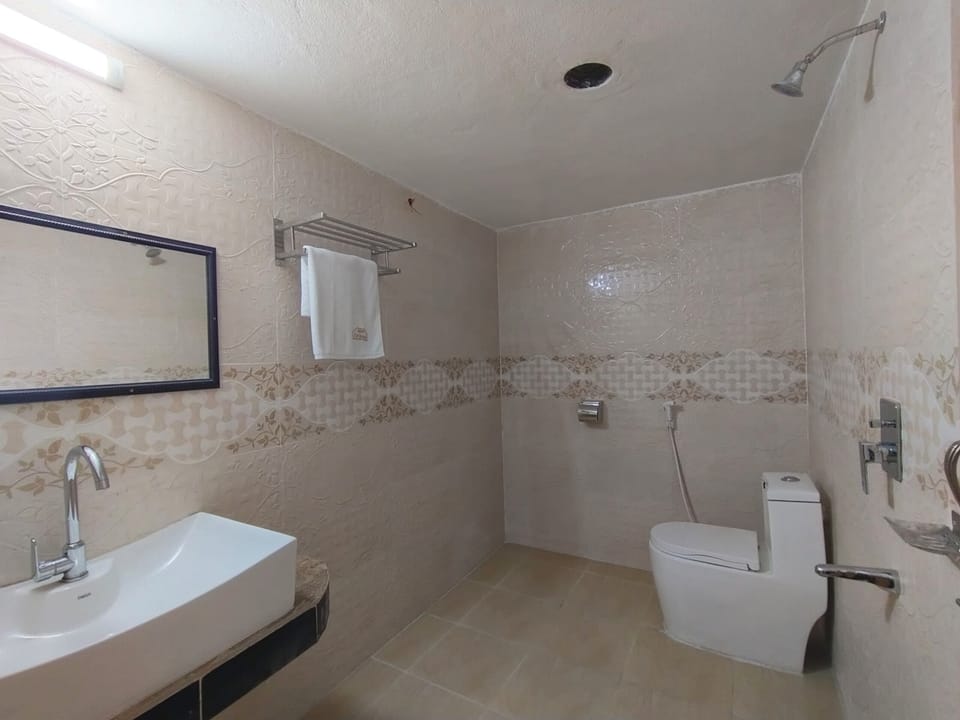Towels, soap, shampoo, toilet paper