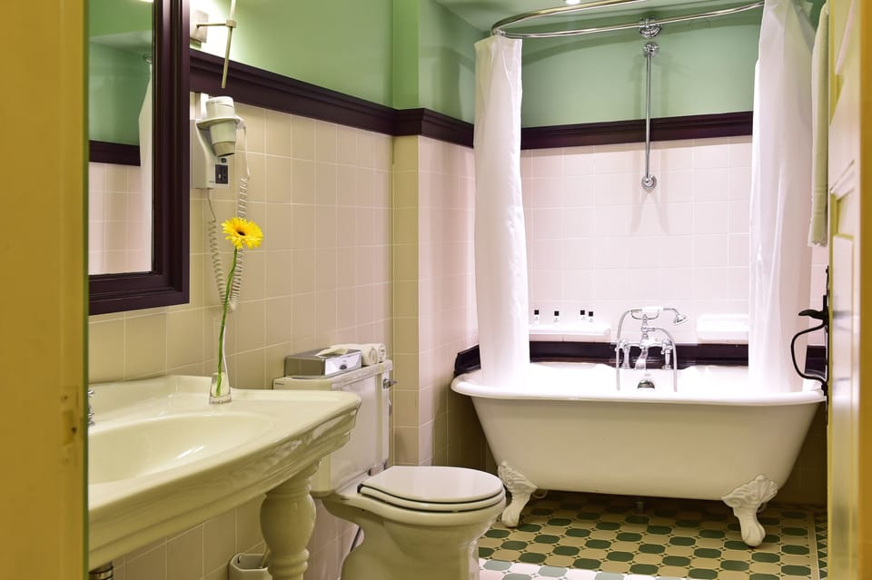 Bathtub, eco-friendly toiletries, hair dryer, bidet