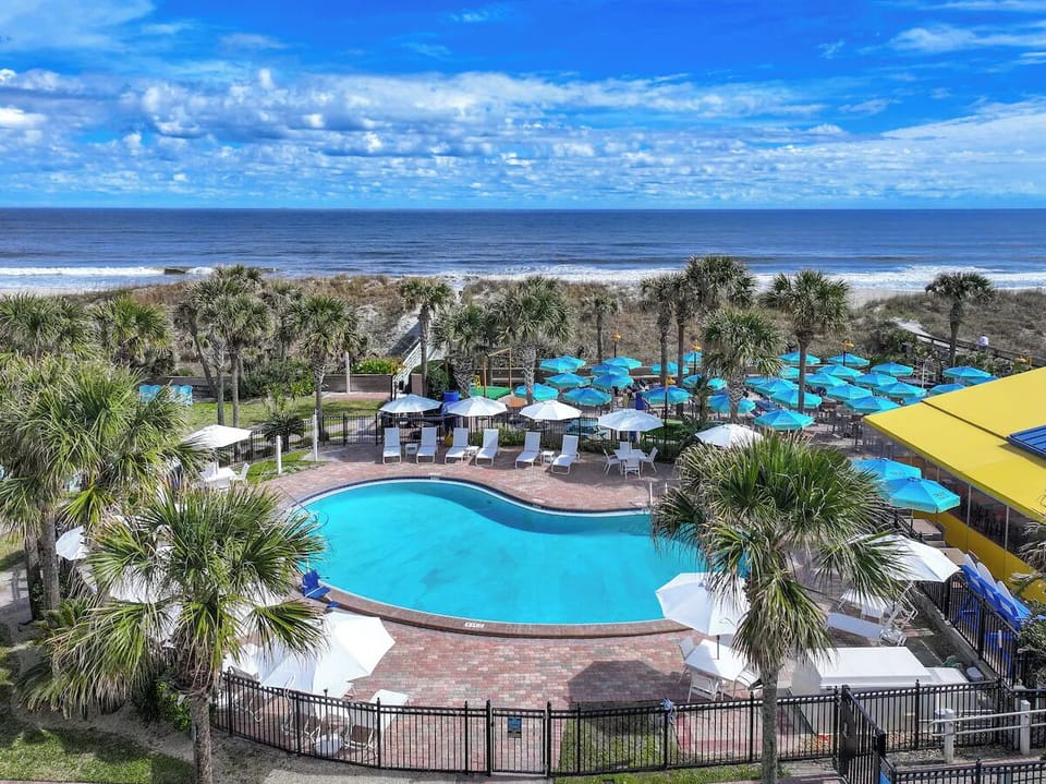 Dive into ocean-view pool bliss under swaying palms.