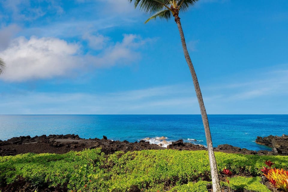 Condo, 1 King Bed with Sofa bed (Keauhou Kona Surf & Racquet Club#1-20) | Miscellaneous