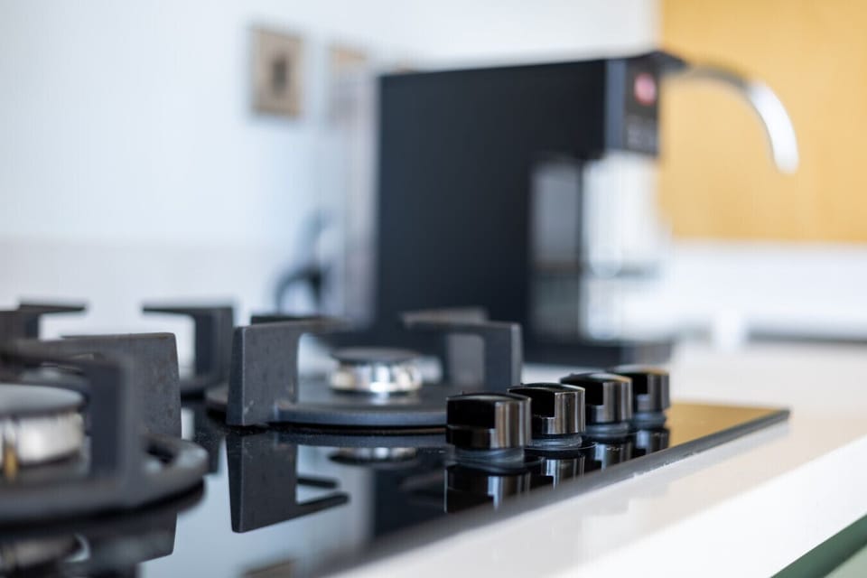 Gas stove