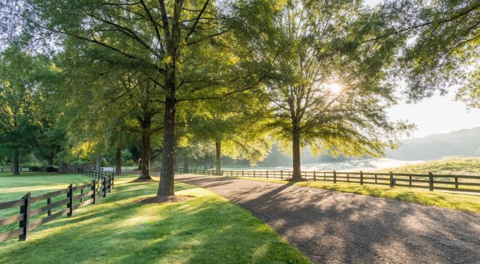 Landscaped Grounds