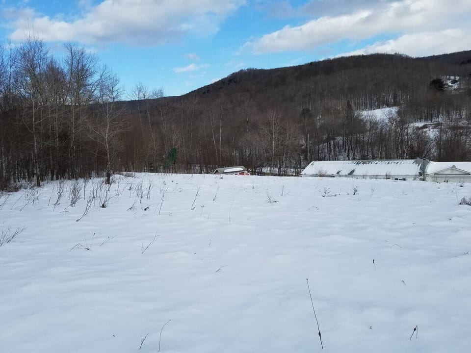 Yard During Winter (1)
