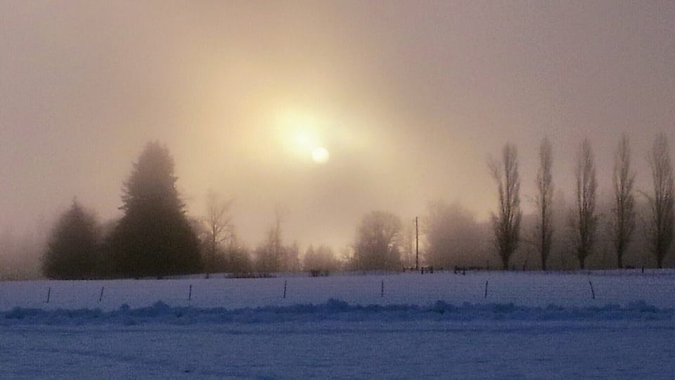 Mystical sunrise on a frosty morning