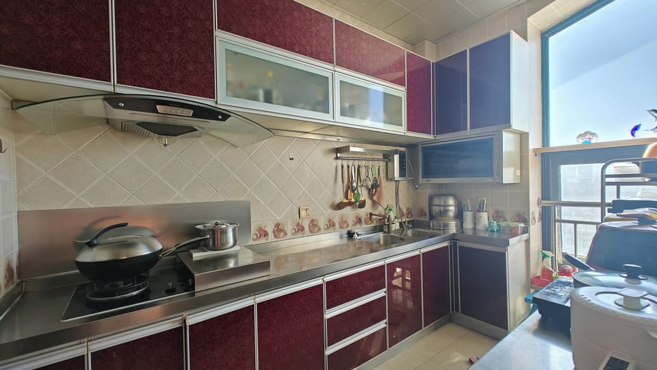 Fridge, oven, dishwasher, cookware/dishes/utensils