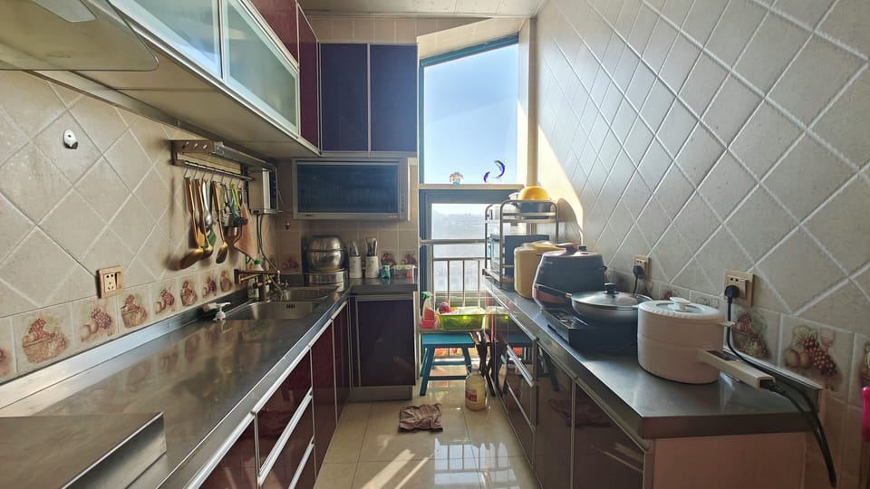 Fridge, oven, dishwasher, cookware/dishes/utensils
