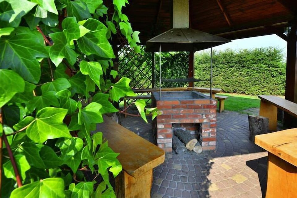 Garden [summer]