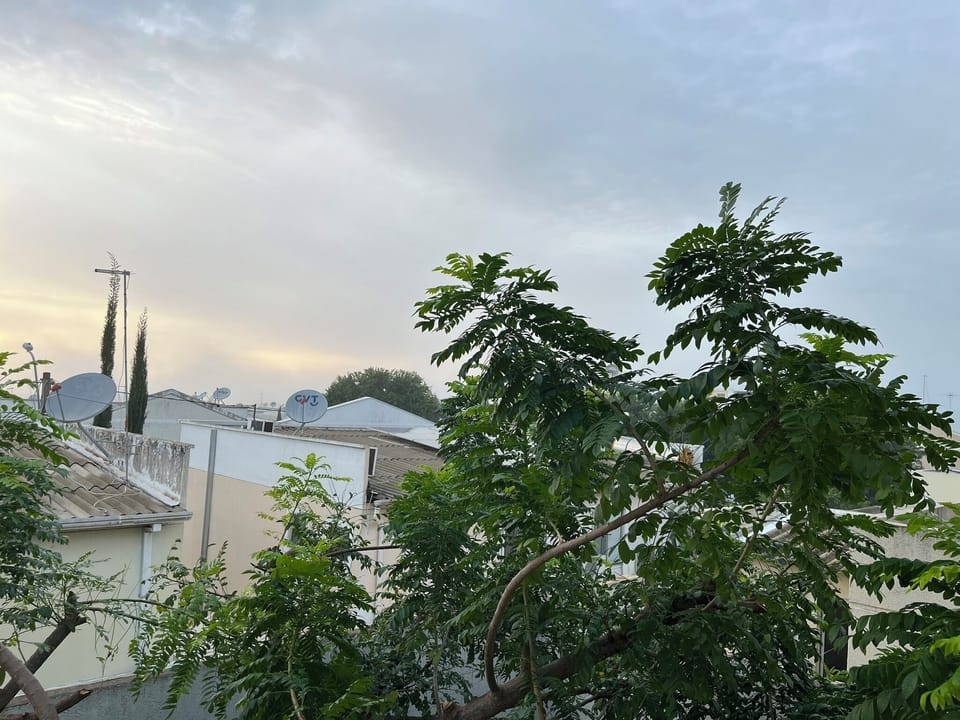 Land view from property