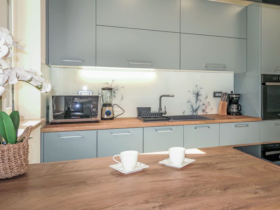 Kitchen, Countertop, Kitchen Appliance, Cabinetry, Interior Design, Major Appliance, Furniture, Flooring, Wood, Home Appliance