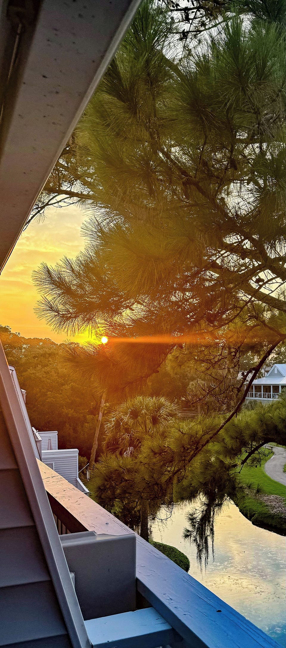 Edisto Sunset
