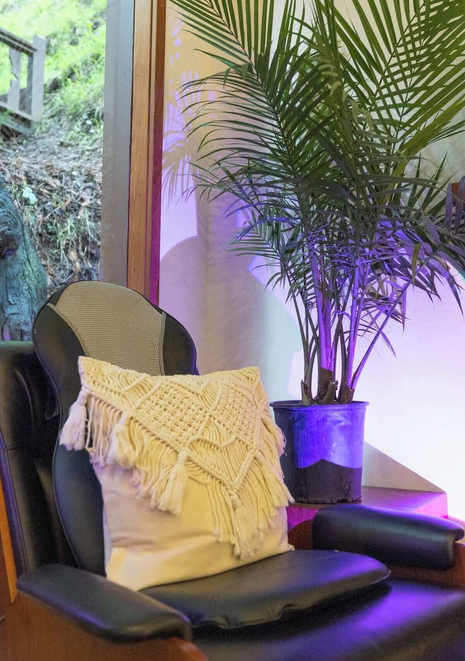 A cozy accent chair with a soft throw and lush greenery beside it creates a stylish and comfortable corner to relax and unwind