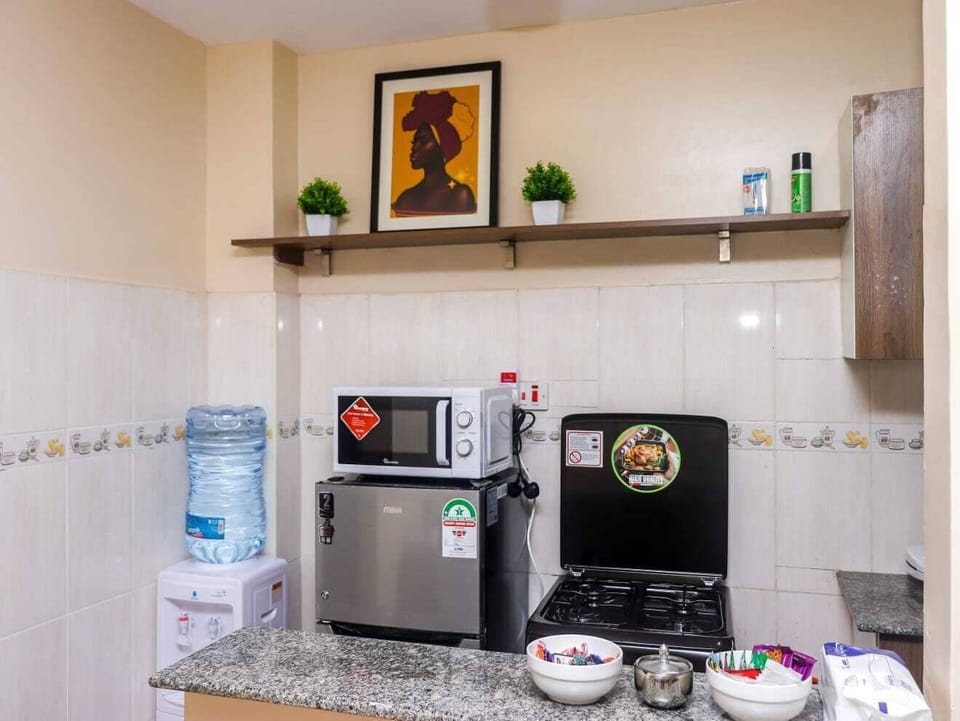 Deluxe Apartment, City View | Private kitchen | Fridge, microwave, cookware/dishes/utensils
