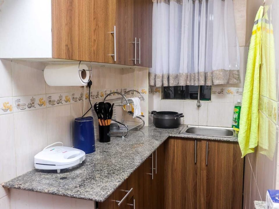 Deluxe Apartment, City View | Private kitchen | Fridge, microwave, cookware/dishes/utensils