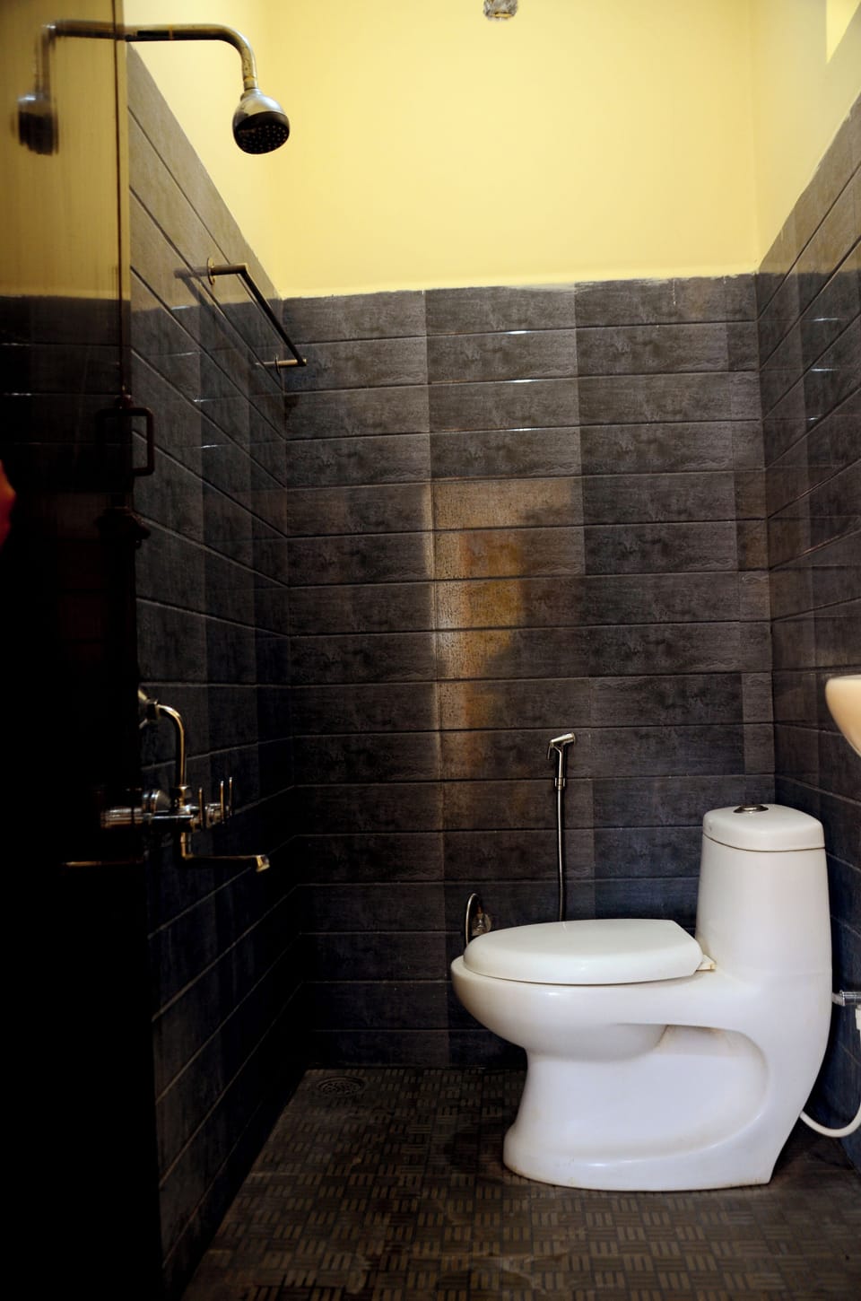 Combined shower/tub