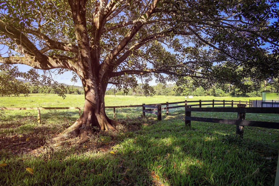 Enjoy uninterrupted views stretching across rolling hills and peaceful valleys