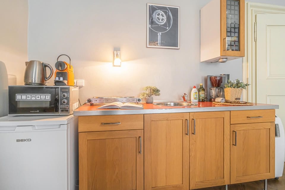 Apartment | Private kitchen | Fridge, microwave, stovetop, electric kettle