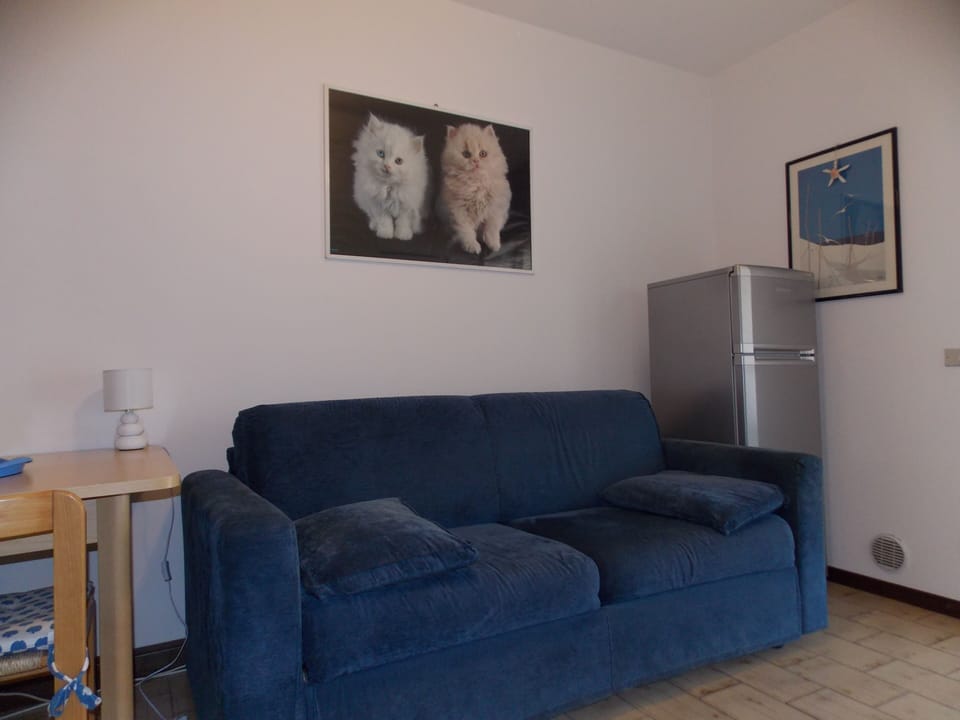 Apartment, 1 Bedroom, Terrace | Living area