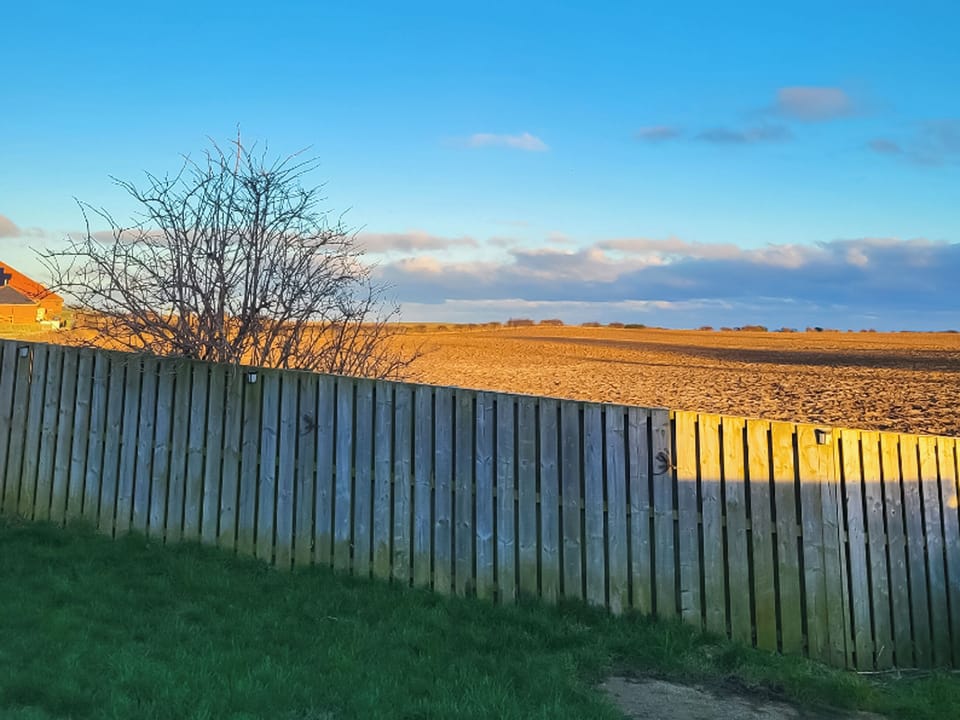 View Adderstone Folly | Adderstone Folly, Belford
