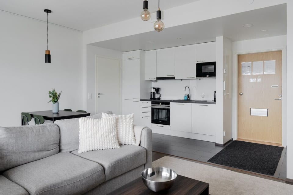 Apartment living room and kitchen