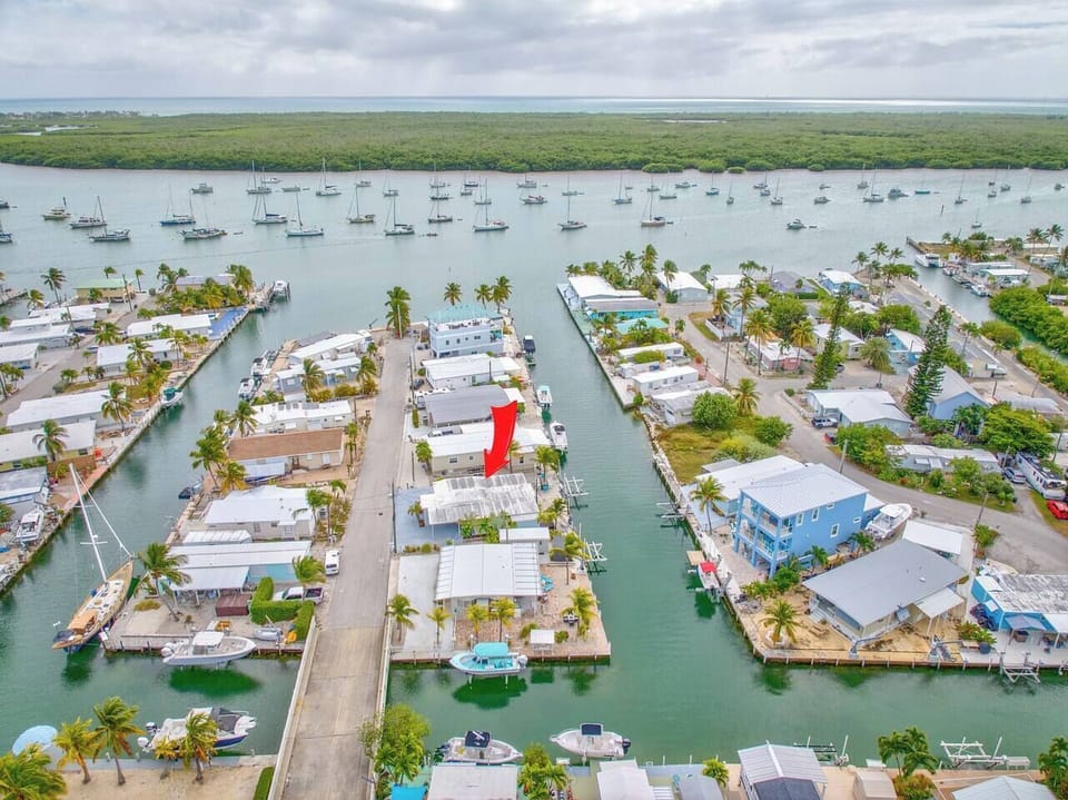 78e5d1fe 3773 4e6a 96d4 066c7a35b373