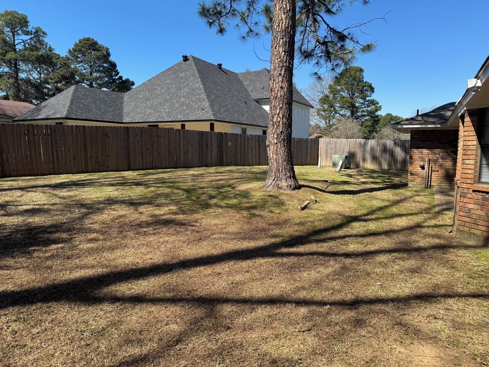 Backyard