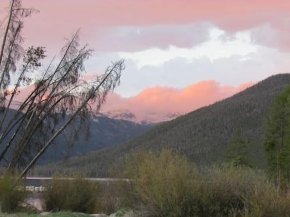 Looking across meadow to lake (3)