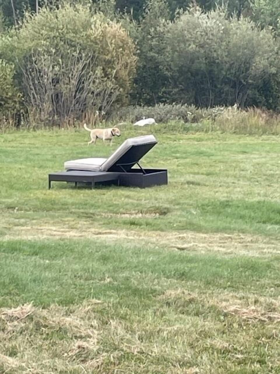 IMG 3446