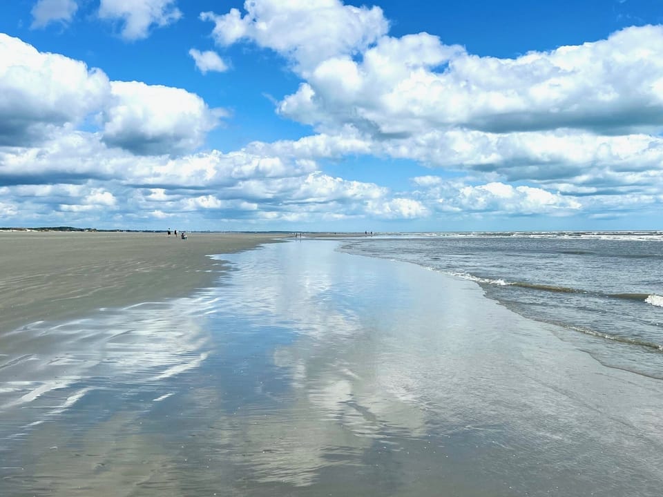 Enjoy miles of pristine, uncrowded shoreline. Our incredible beaches are perfect for peaceful walks, biking, or simply relaxing by the ocean.